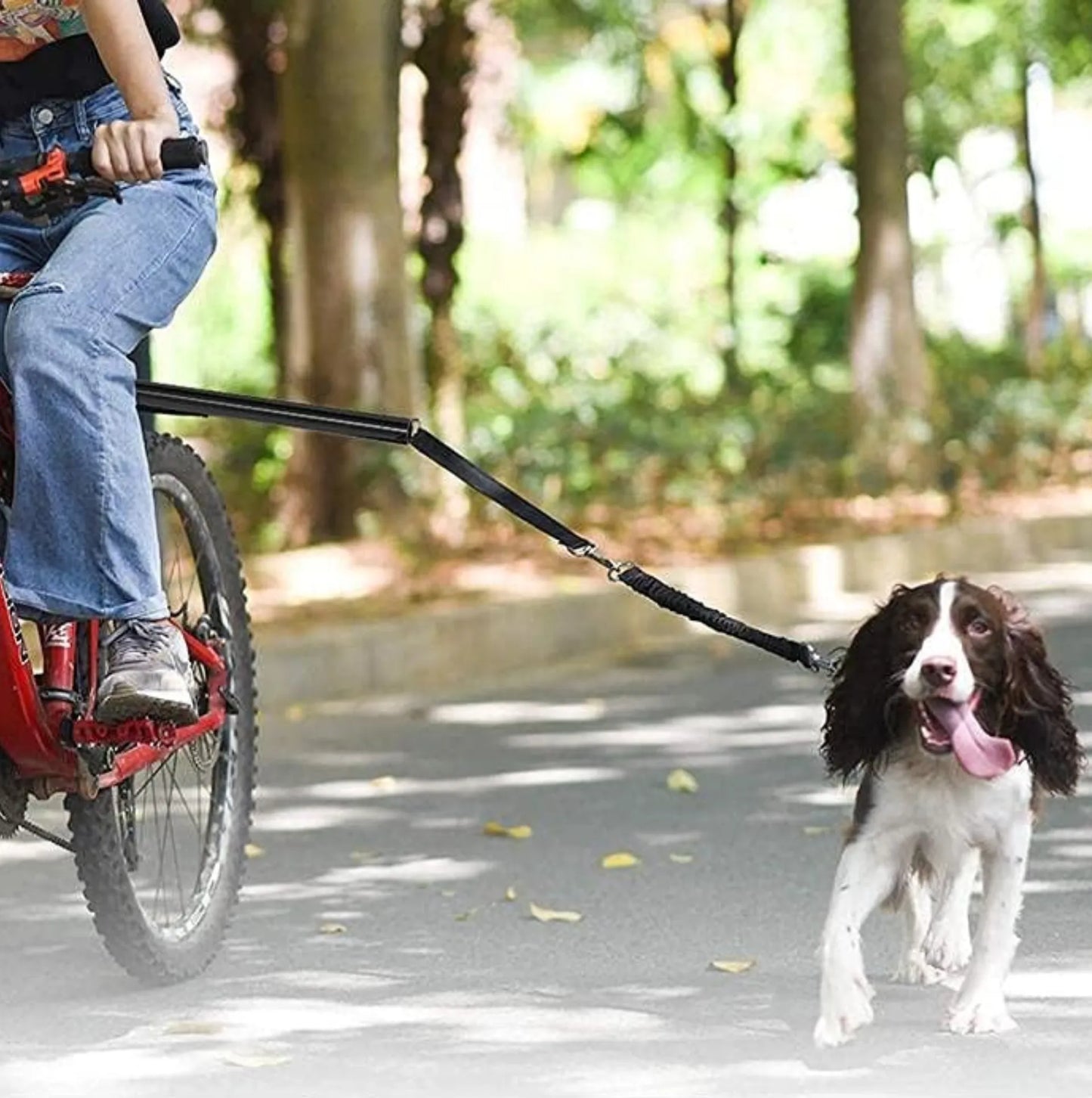 Laisse vélo pour chien avec fixation sur tige de selle - Barre latérale en acier + laisse élastique amovible