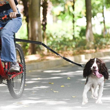 Laisse vélo pour chien avec fixation sur tige de selle - Barre latérale en acier + laisse élastique amovible