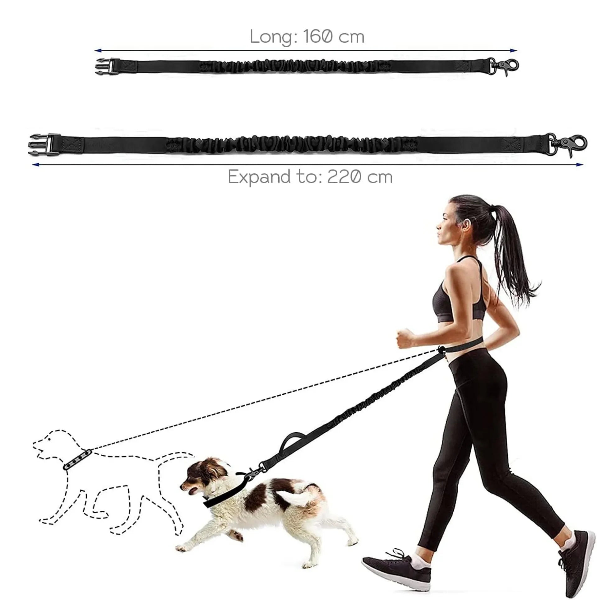 Laisse de taille mains libres pour chien en nylon – Ceinture de course avec sac et corde de traction – vue 5